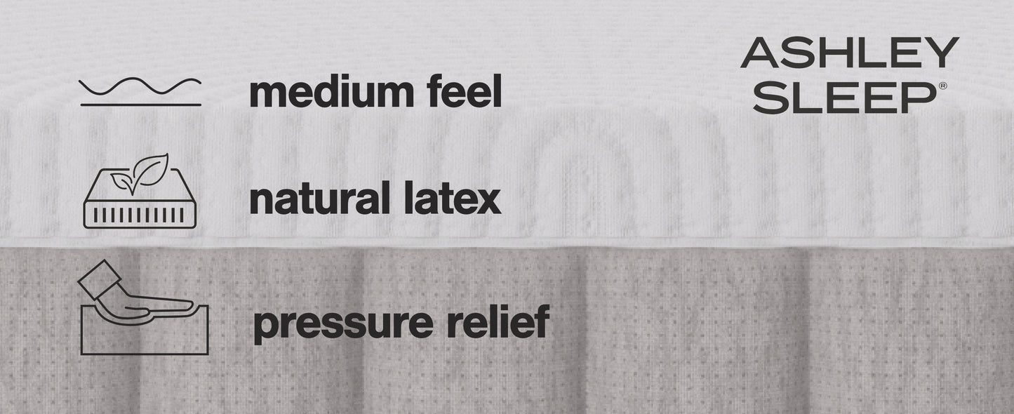 Terra Sleep Medium Mattresses