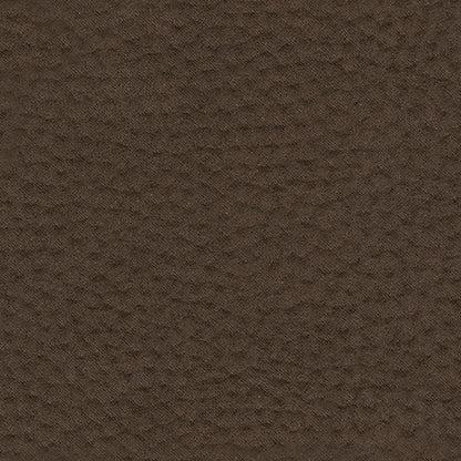 Next-Gen Gaucho Living Room