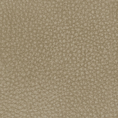 Next-Gen DuraPella Living Room