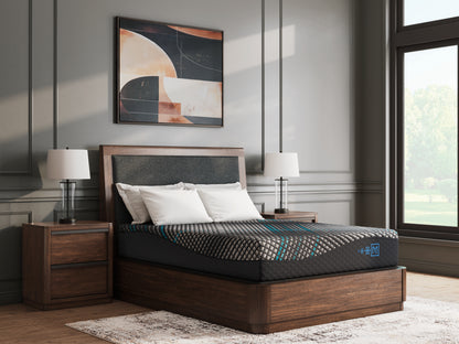 Lakeland Furniture Outlet - Ashley Furniture - Millennium 2.0 Foam 12 Inch Mattresses - California King / Black - M31151