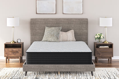 Lakeland Furniture Outlet - Ashley Furniture - Palisades Plush Mattresses - Twin / Gray/Blue - M41611