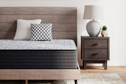 Anniversary Edition Plush Mattresses