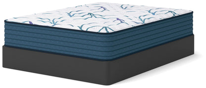 Limited Edition Firm 3.0 Mattresses
