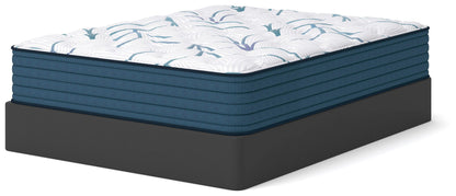 Limited Edition Plush 3.0 Mattresses