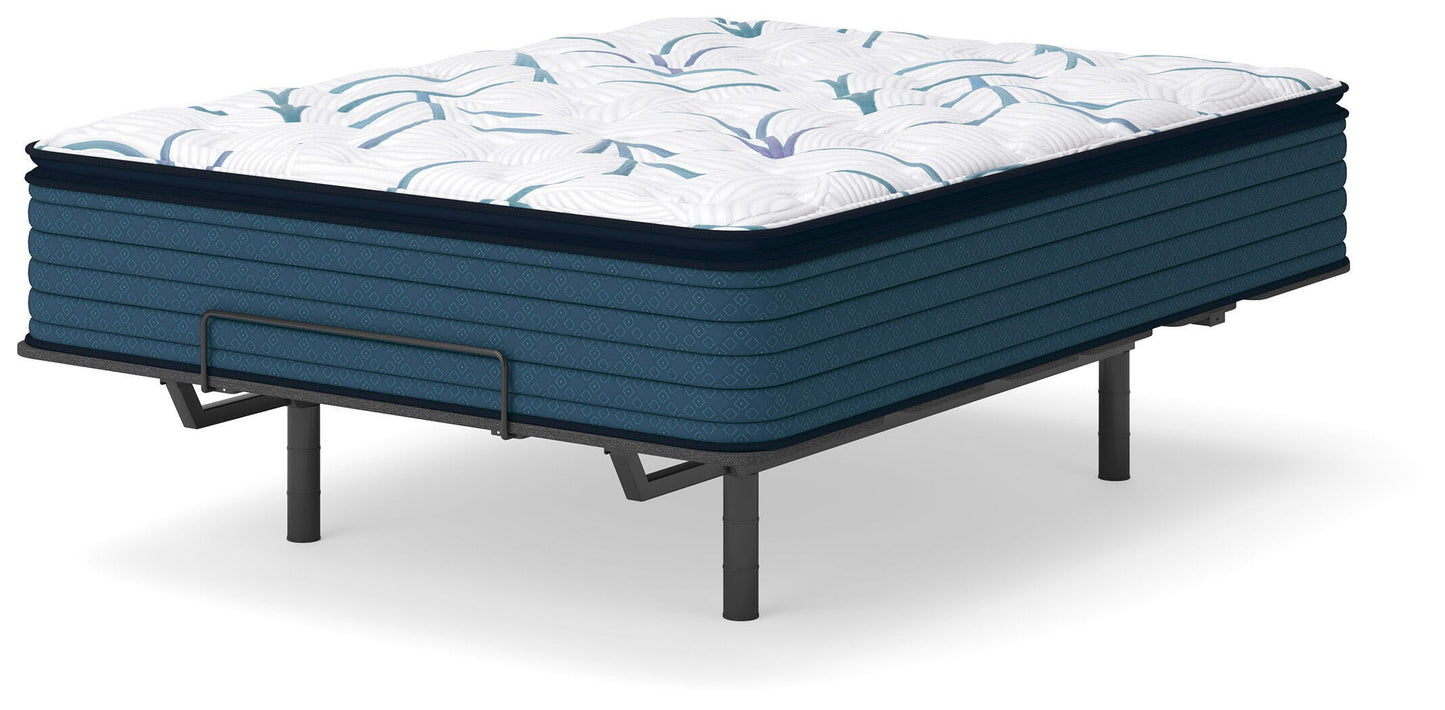 Limited Edition Plush PT 3.0 Mattresses