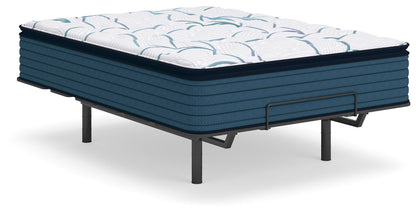Limited Edition Plush PT 3.0 Mattresses