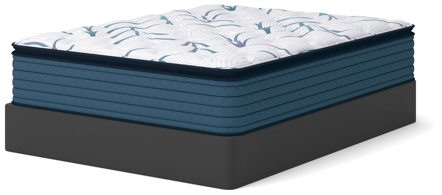 Limited Edition Plush PT 3.0 Mattresses