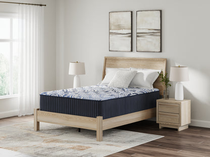 Lakeland Furniture Outlet - Ashley Furniture - Firm Luxe 2.0 Mattresses - Queen / Blue - M49631