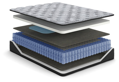 Comfort Plus Mattresses