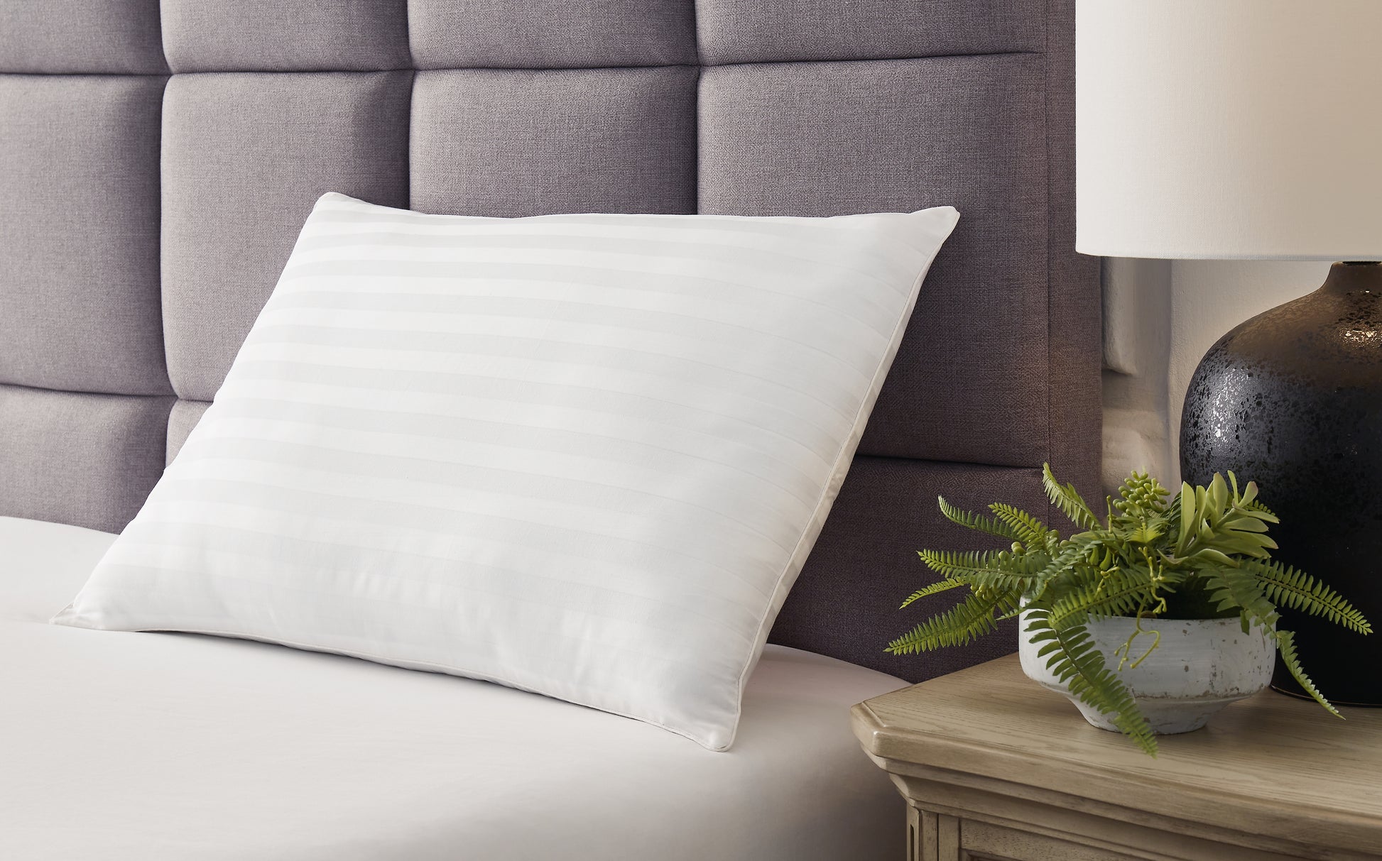 Lakeland Furniture Outlet - Ashley Furniture - Zephyr 2.0 Pillows - Cotton Pillow (Set of 2)(9/CS) / White - M52110
