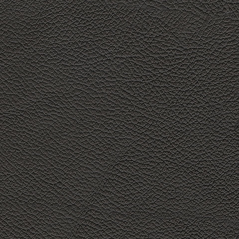 5Z-Comfort Living Room